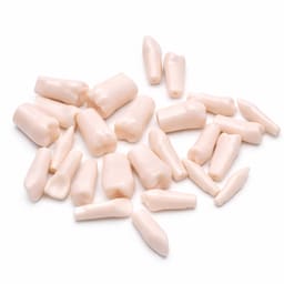 iDENTical Typodonts For Nissin Type Jaw Set TJMA09 - Individual - 3