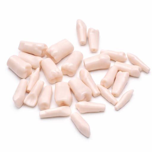 iDENTical Typodonts For Nissin Type Jaw Set TJMA09 - Individual
