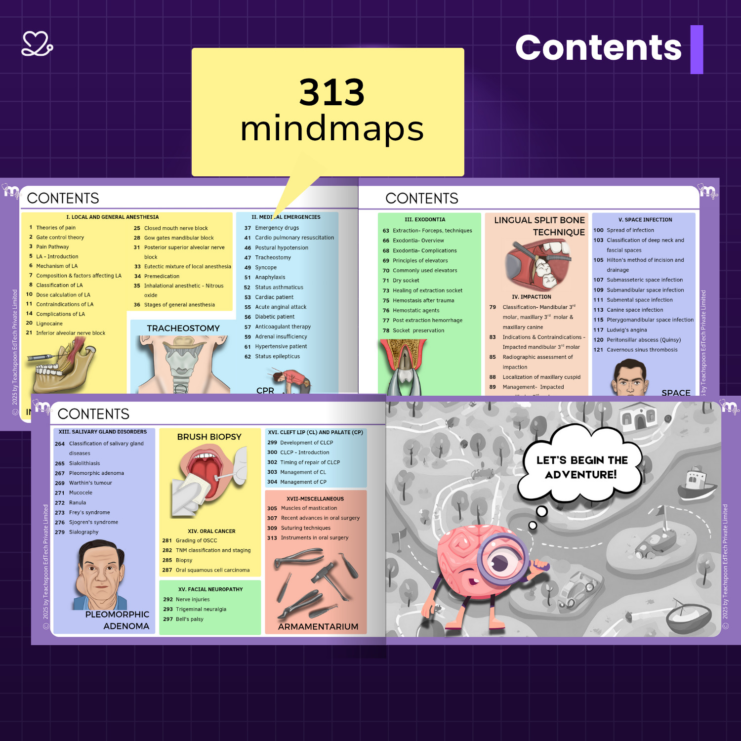 Medi Study Go Oral Surgery Mind Maps (ISBN: 296891)