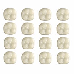 Pedo Crown Permanent 1st Molar Full Kit - Upper & Lower (16 Crowns)