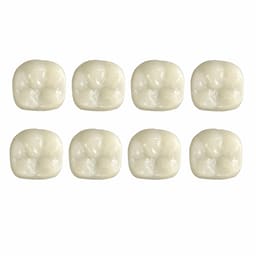 Pedo Crown Permanent 1st Molar Kit - Upper (8 Crowns)