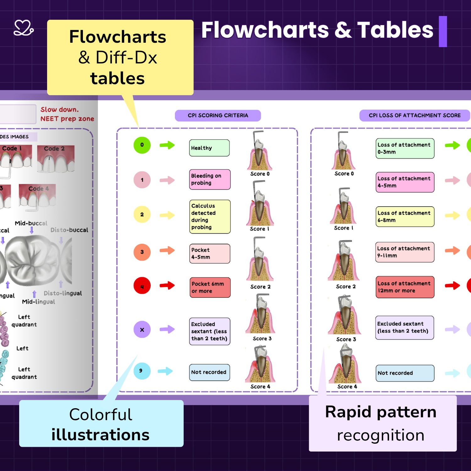 Medi Study Go Public Health Dentistry Mind Maps And Notes (ISBN: 424232)
