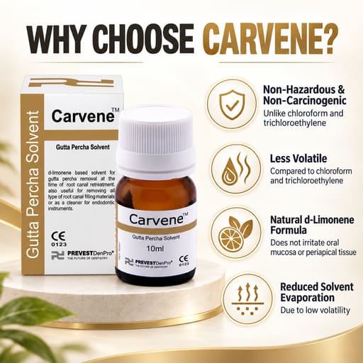 Prevest Carvene