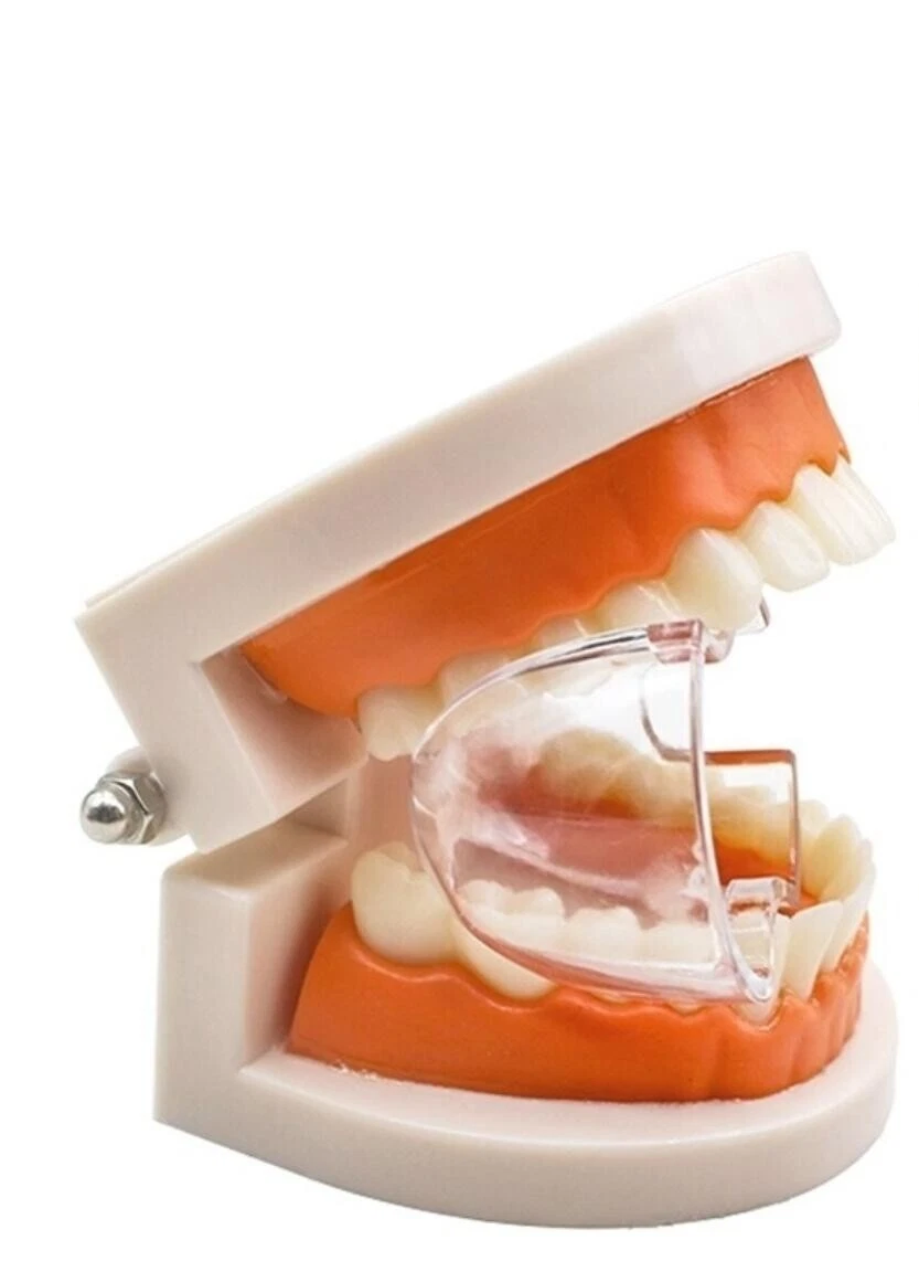 Dental Posterior Mouth Prop | Transparent
