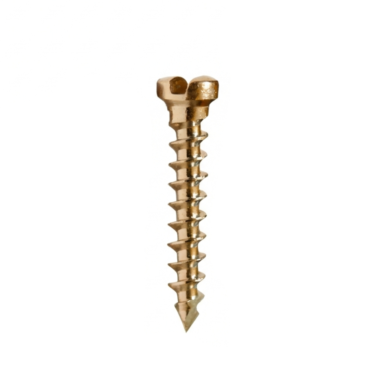 SK Surgicals SS Single Slot Screws - 1.5mm x 10mm (15010S)