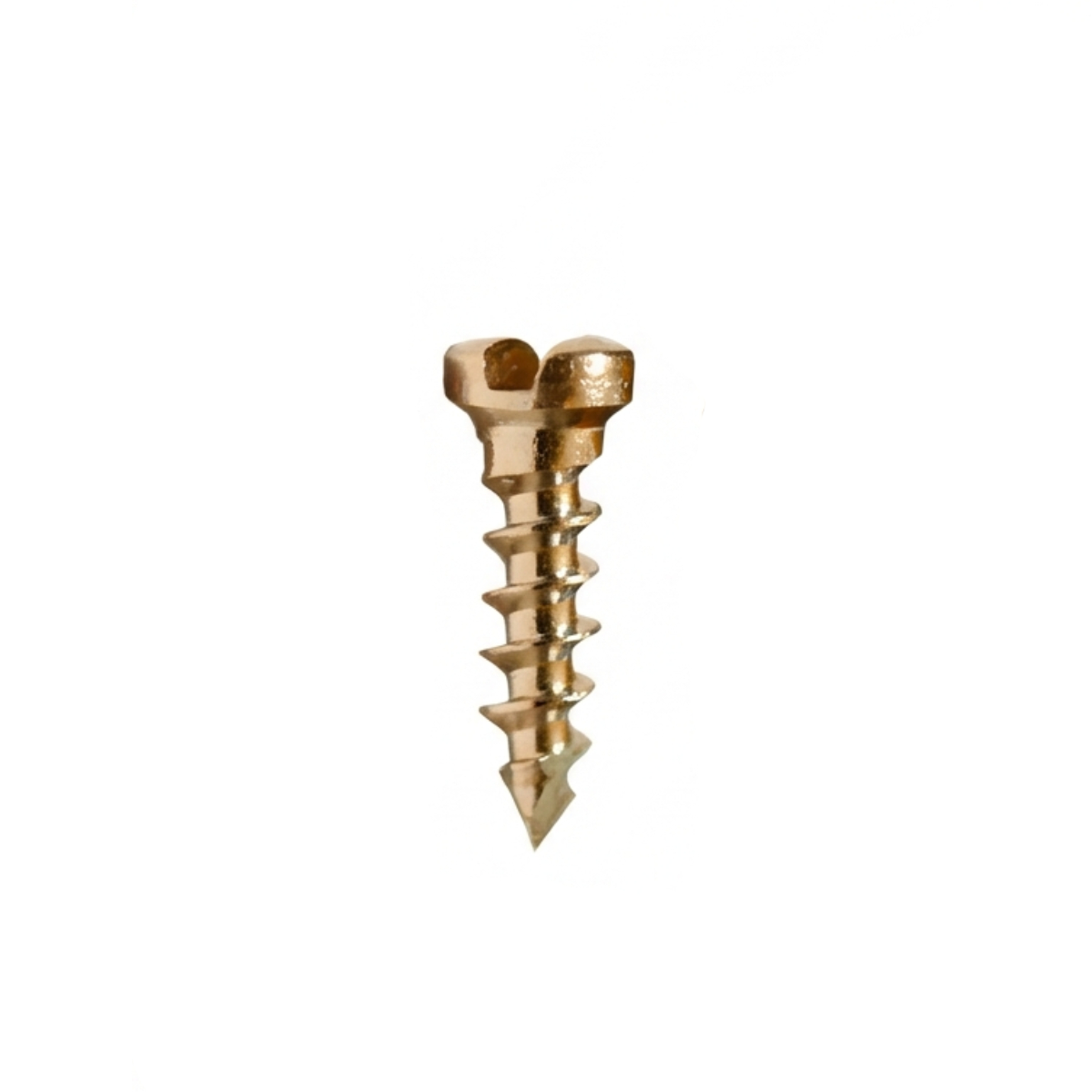 SK Surgicals SS Single Slot Screws - 1.5mm x 5mm (1505S)