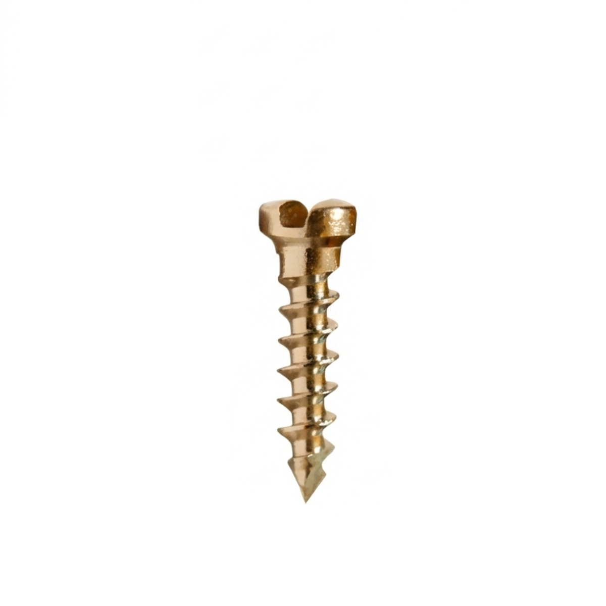 SK Surgicals SS Single Slot Screws - 1.5mm x 6mm (1506S)