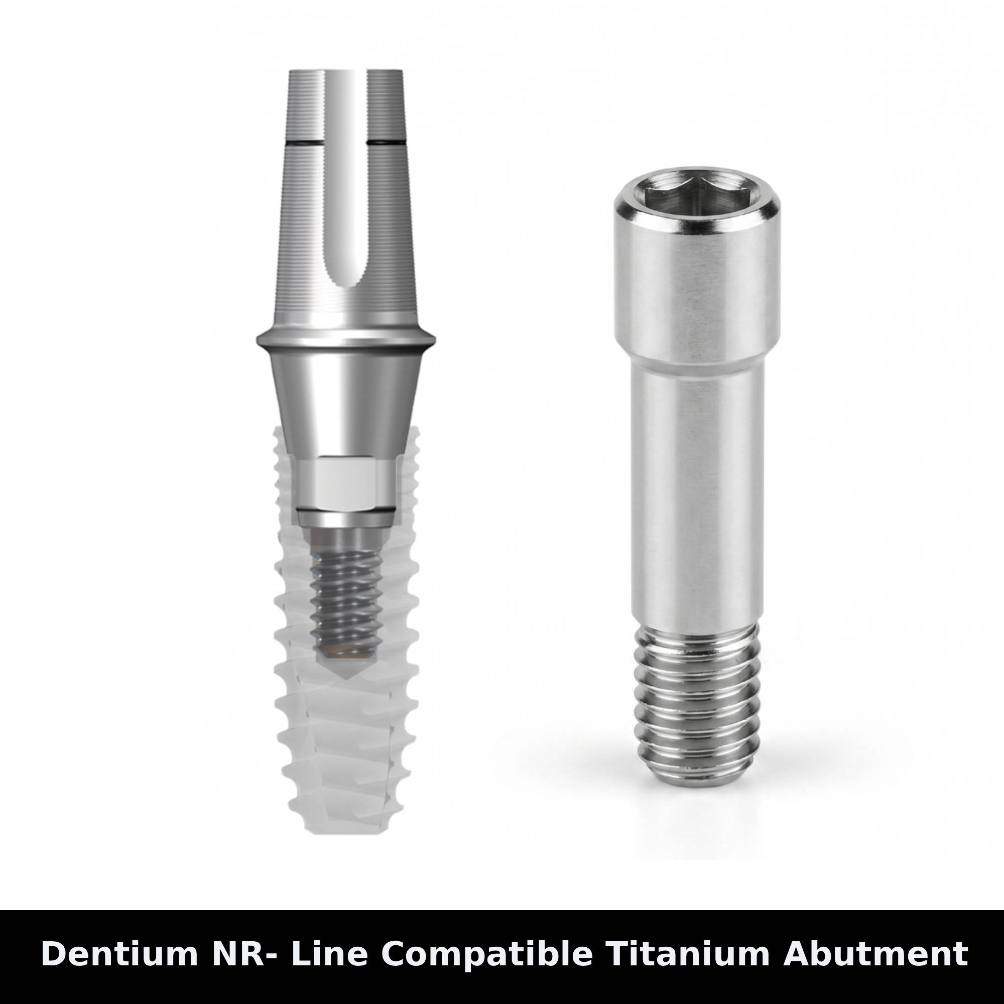 Mediden Dentium NR- Line Compatible Titanium Abutment Screw (S-22) (Pack of 10)
