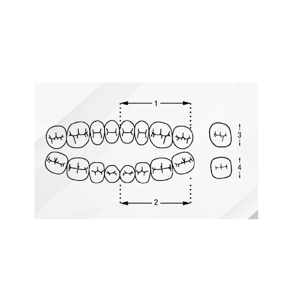 Rubydent CompacZahn Acrylic Denture Teeth A3 (Set of 28)