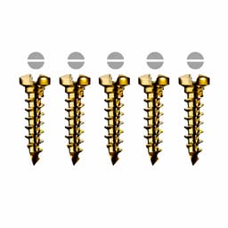 SK Surgicals Titanium Locking Screws - 2mm x 6mm (2006TLC) (Pack of 5 )