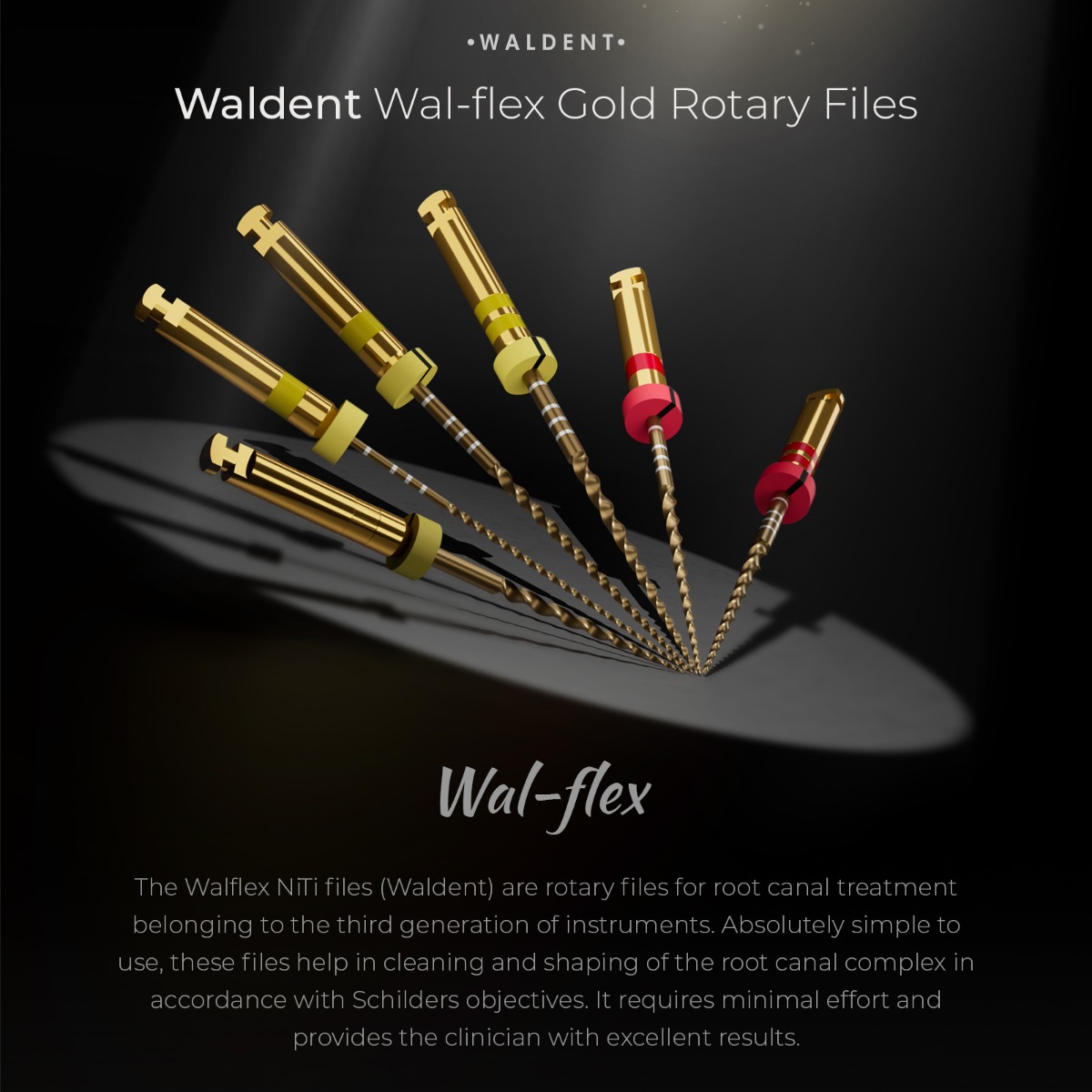 Waldent Wal-flex Gold Rotary Files 25mm Assorted- (W1-W6) (Pack Of 6) 