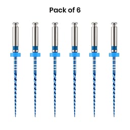 SuperEndo Blue Files 21mm #04/30 (B5) Pack of 6