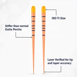 Sure Endo Universal Gutta Percha Points - Length Marked (Pack of 60) - 6
