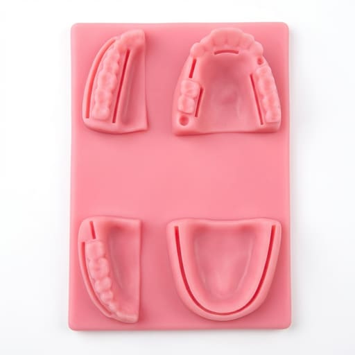 iDENTical Dental Educational Suture Model- Pink Base