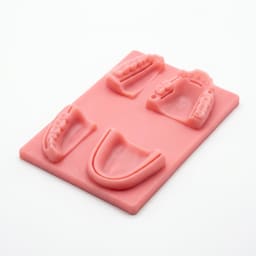 iDENTical Dental Educational Suture Model- Pink Base - 6
