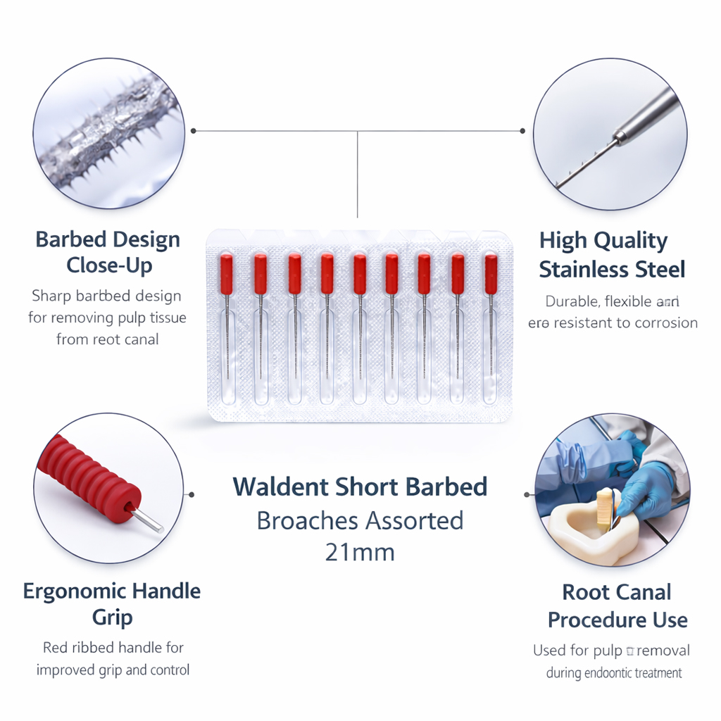 Waldent Short Barbed Broaches Assorted 21mm # 0-6