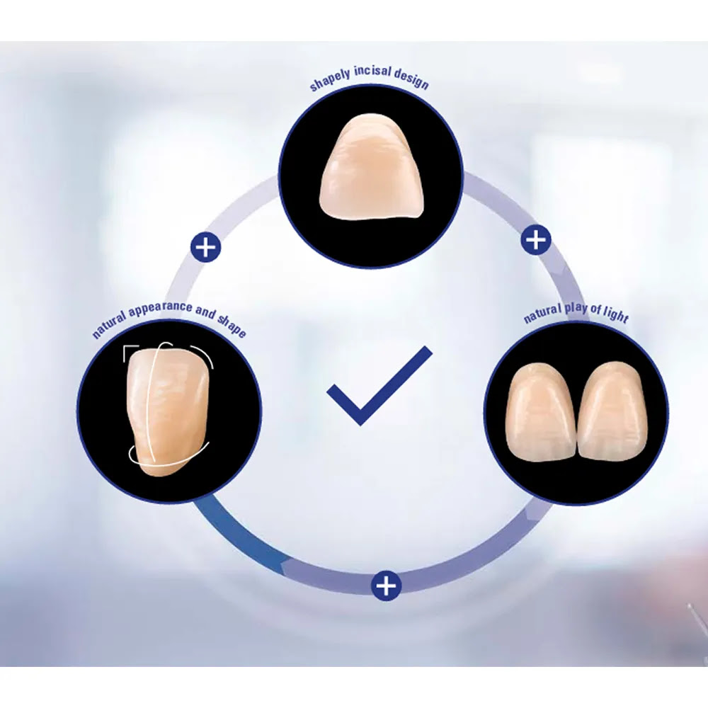 Vita MFT Denture Teeth O40 -A1 (Set of 28)