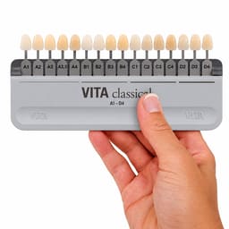 Vita Classical Shade Guide