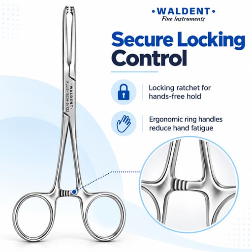 Waldent Allis Tissue Forceps - 15cm (5/122)