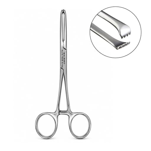 Waldent Allis Tissue Forceps - 15cm (5/122)