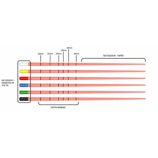 Waldent Bioactive Progressive Taper Gutta Percha Points (ProTaper Compatible) - Length Marked