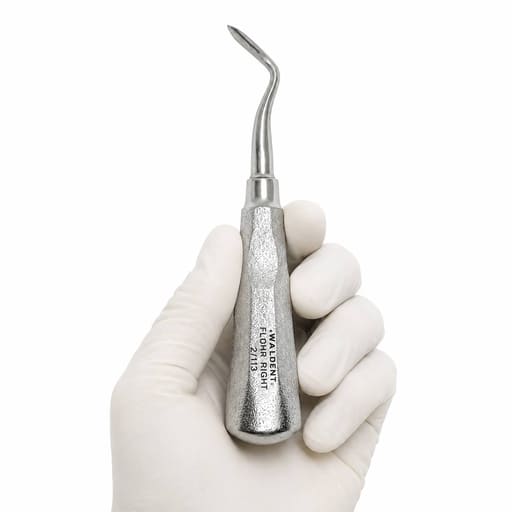 Waldent Flohr Root Elevators with Shot Blast Handle
