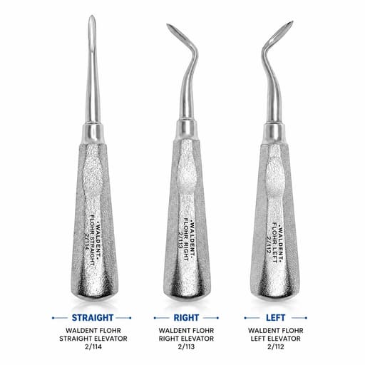 Waldent Flohr Root Elevators with Shot Blast Handle