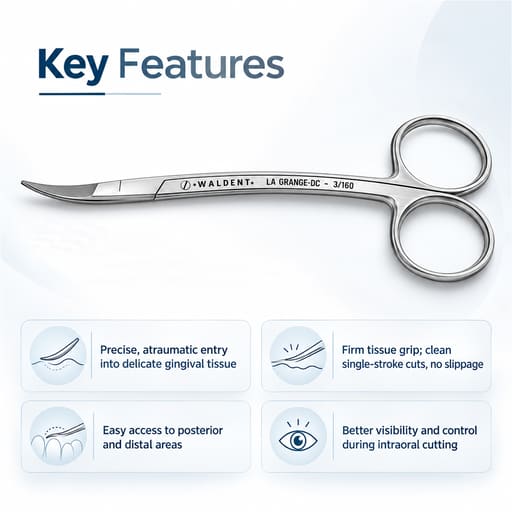 Waldent La Grange Double Curved Saw Edge Scissors 12cm (3/160)
