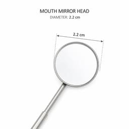 Waldent Mouth Mirror Tops Plain #4 Pack of 12 (K13/4) - 2