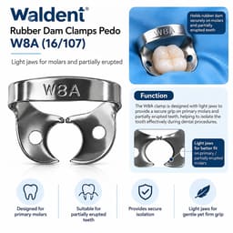 Walden
