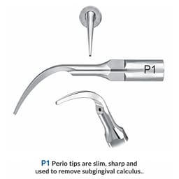 Waldent Scaler Tip P1 for UDS & EMS Scalers (Pack of 1) - 2