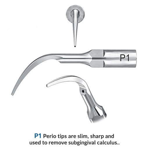 Waldent Scaler Tip P1 for UDS & EMS Scalers (Pack of 1)