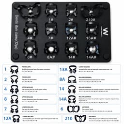 Waldent Stainless Steel Rubber Dam Instrument Kit - 5