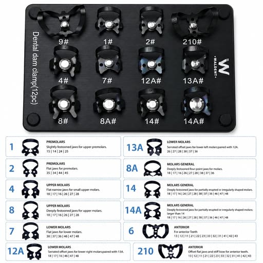 Waldent Stainless Steel Rubber Dam Instrument Kit