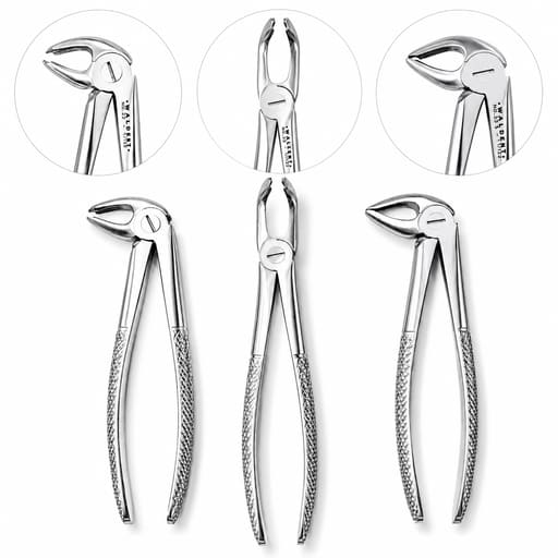 Waldent Standard Tooth Extraction Forceps - Set of 10 (K1/12)