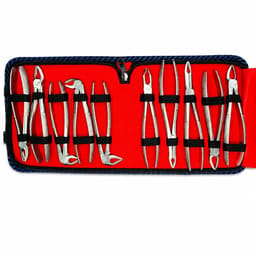 Waldent Standard Tooth Extraction Forceps - Set of 10 (K1/12) - 1