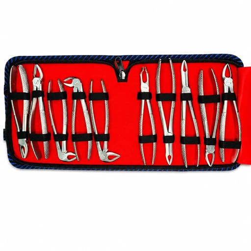 Waldent Standard Tooth Extraction Forceps - Set of 10 (K1/12)