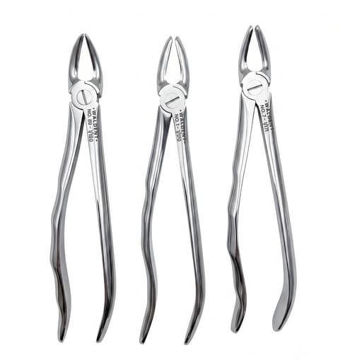 Waldent Tooth Extraction Forcep Kit set of 12 - Anatomic Premium (K1/10)