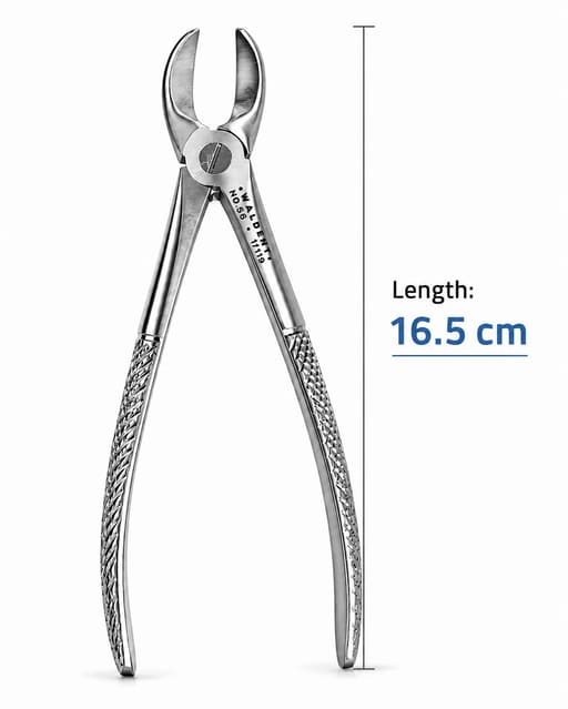 Waldent Tooth Extraction Forceps Lower Molars No. 56 (1/119)