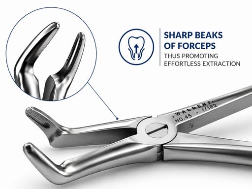 Waldent Tooth Extraction Forceps Lower Roots No. 45 (1/162)