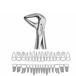 Waldent Tooth Extraction Forceps Lower Roots No. 959 (1/169) - 4