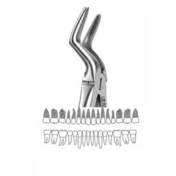 Waldent Tooth Extraction Forceps Upper Roots No. 197 (1/164) - 4