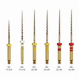 Waldent Wal-flex Plus Gold Rotary Files 25mm Assorted