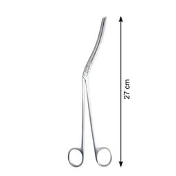 Waldent Cheatle Forceps 27cm - 1