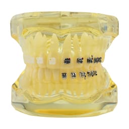 iDENTical Self Ligating Model M3012 Yellow