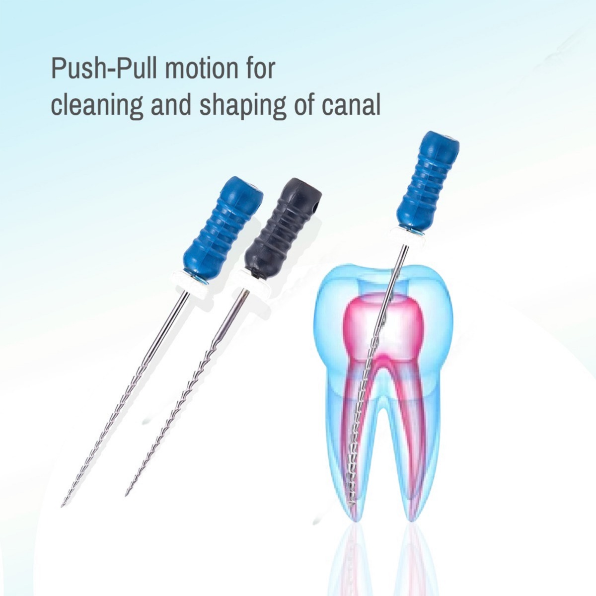 Waldent Professional H-File 21mm #25