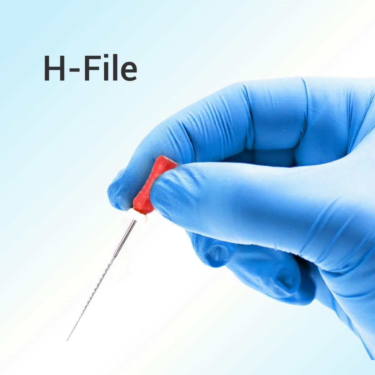 Waldent Professional H-File 21mm #25