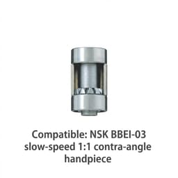 NSK Ca