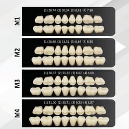 Rubydent CompacZahn Acrylic Denture Teeth A2 (Set of 28) - 11