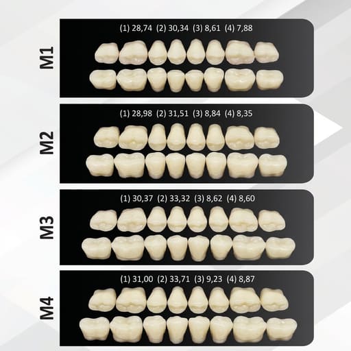 Rubydent CompacZahn Acrylic Denture Teeth A1 (Set of 28)